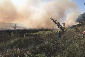 Peste jumătate dintre cazurile preluate de pompieri sunt incendii de vegetaţie uscată şi mirişte