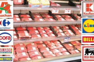 REVOLTĂTOR Auchan, Selgros, Metro, Carrefour, Kaufland îşi NENOROCESC clienţii, în Bucureşti şi Constanţa: Ce au găsit inspectorii de la ANPC e strigător la cer
