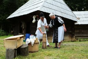 Cocoloş ca la stână, duminică, în Muzeul din Dumbrava