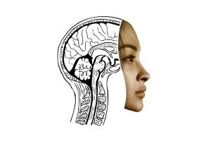 Inteligenţa încetineşte procesul de îmbătrânire. 6 sfaturi ca să rămâi tânăr!