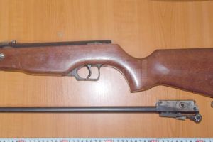 Dosare penale pentru deţinători de arme care nu au prelungit permisul de port armă
