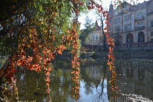 Vine toamna sau nu în Bihor? Cum va fi vremea în următoarele două săptămâni