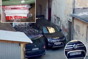 Partidul e-n toate: Materiale electorale pentru PSD Bihor, livrate cu maşina ABA Crişuri (FOTO)