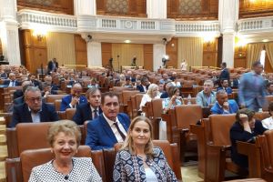 Doina Pană: Prima zi de vot final în noua sesiune parlamentară şi… ”nimic nou sub soare”