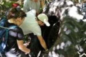 Drumul spre cascada Șopot, curăţat de voluntarii de la Asociaţia Acasă în Banat!