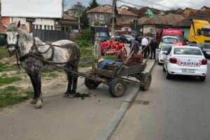 Bătrânică de 82 de ani rănită, după ce atelajul în care se afla a fost lovit de un autoturism