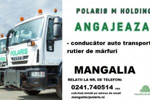 Polaris M Holding angajeaza la Mangalia