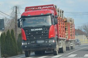Poliţiştii au confiscat peste 26.000 de lei de la o firmă din Ştei după ce au descoperit că a vândut lemne cu acte false