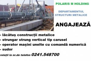 Polaris M Holding angajeaza pentru Departamentul structuri metalice