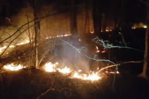 Incendiu în Șchei. Focul s-a extins la pădure