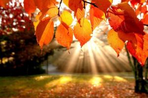 Vremea pe trei luni  – Ce prognozează meteorologii