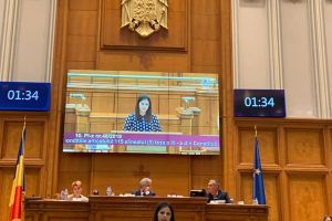Indemnizaţii mai mari pentru veteranii de război/ Violeta Răduţ: “O măsură a cărei necesitate nu poate fi contestată”