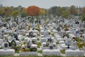 ADP Oradea inventariază locurile de veci din Cimitirul Municipal