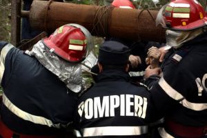 Pompierii intervin pentru salvarea unui animal cazut in fantana, in Mereni