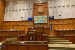 Deputatul PSD Maricela Cobuz: „Sunt mândră că fac parte din cea mai mare organizaţie ...