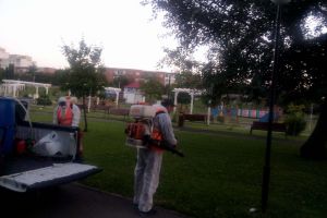 Urmează o nouă acţiune de dezinsecţie şi deratizare în municipiu