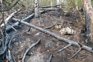 Incendiul din Șchei a fost provocat cel mai probabil de o ţigară