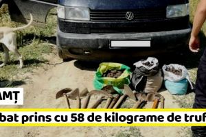 NEAMȚ: Bărbat prins cu 58 de kilograme de trufe