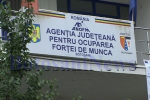 Aproape 300 de locuri de muncă anunţate de AJOFM Botoşani în ţările europene. Vezi oferta!