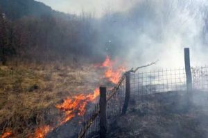 INCENDIU de vegetaţie uscată în Alba Iulia. Intervenţie a pompierilor pe strada Vlădeasa din municipiu
