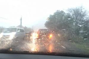 Furtună puternică la Negreni! Copaci căzuţi pe drum - FOTO