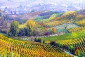 Seminar în domeniul bioeconomiei, astăzi, la Sfântu Gheorghe