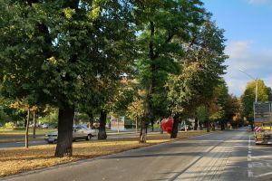 Ioan Turc despre asfaltarea Bd. Republicii: Ca şi cum ai demola o casă bună şi ai face alta identică