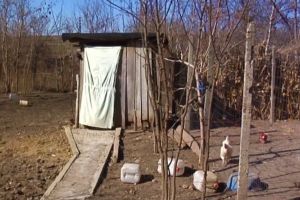 Statistică cruntă – Câţi români încă mai au wc-urile în curte