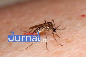 Un bătrân din Jitia a murit din cauza virusului West Nile. Bărbatul fusese în Delta Dunării