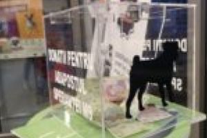 8 puncte de donaţii pentru Adăpostul Speranţei M9