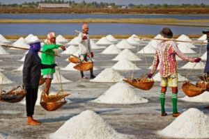 Atenţie! Sarea DE MARE este contaminată cu PLASTIC