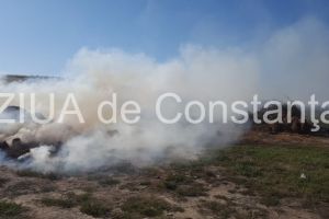 Incendiu in Mangalia, langa castelul de apa. Arde vegetatia uscata