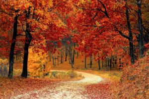 Horoscop special: Horoscopul TOAMNEI 2019. Ce aduce zodiilor un sezon intens astral?