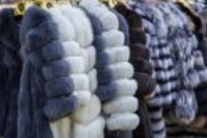 Vrei să fii la modă chiar şi când e frig? Vino la expoziţia de blănuri la preţ redus din Timişoara!