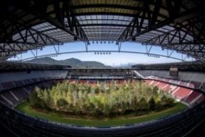 Un proiect artistic din Austria a inlocuit gazonul unui stadion cu o padure alcatuita din 300 de copaci