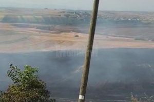 Pompierii au intervenit pentru a stopa un incendiu extins pe 2,6 hectare