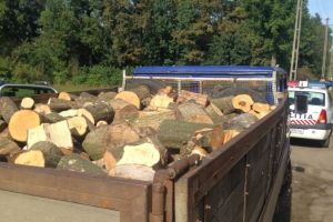 Autoutilitară încărcată cu material lemnos de provenienţă ilicită identificată de poliţiştii harghiteni, în municipiul Gheorgheni