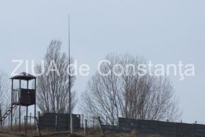 Unitatea Militara 01556 din Mangalia angajeaza sofer