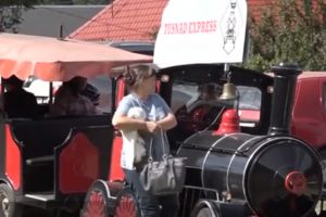 Festivalul Ursului în Harghita, pentru ultima zi de vacanţă a copiilor