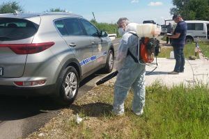 Un nou caz de pestă porcină africană în judeţul Satu Mare