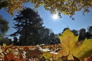 Vreme frumoasă cu cer senin şi temperaturi plăcute