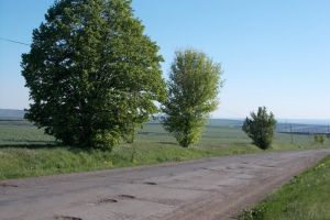 Ghinion cu modernizarea drumului strategic. Nici la a doua licitaţie nu s-a înscris nicio firmă