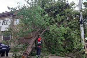 Vremea rea face pagube în Oradea: Copac căzut peste o casă, alţi arbori au distrus maşini (FOTO / VIDEO)
