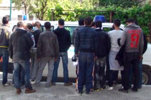 Sirieni ascunşi printre cutii cu marfă
