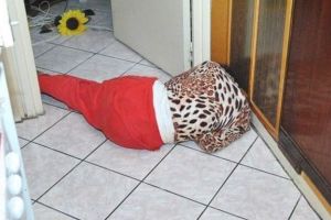 O femeie din Botoşani a murit din cauza băuturii. Concubinul său a găsit-o fără suflare, în casă