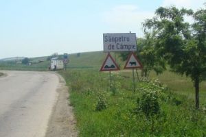 Angajări în Sânpetru de Câmpie
