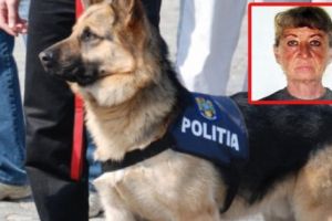 Dispărută de trei săptămâni