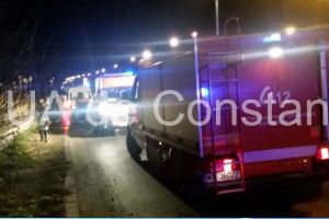 Pompierii ISU Dobrogea intervin pentru salvarea unui animal cazut in canalizare, in Constanta 