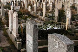 Dezbatere publica la Primaria Constanta privind investitia Muftiatului Cultului Musulman. Este vorba despre un cimitir musulman