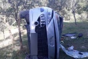 Un şofer băut rănit într-un accident a încercat să dea vina pe un urs